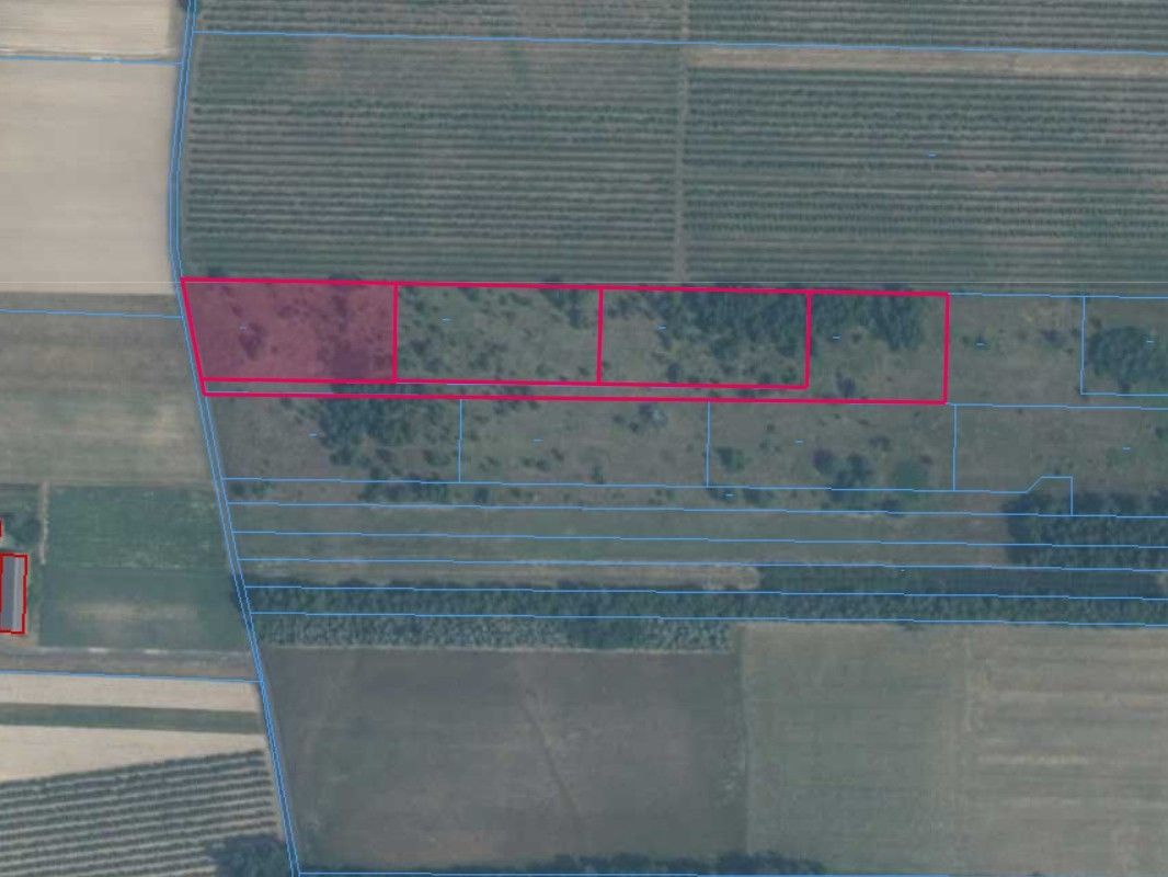 Działki | Koziegłowy dz. 75/3, 75/4, 75/5, 75/6 | 1,2475 ha