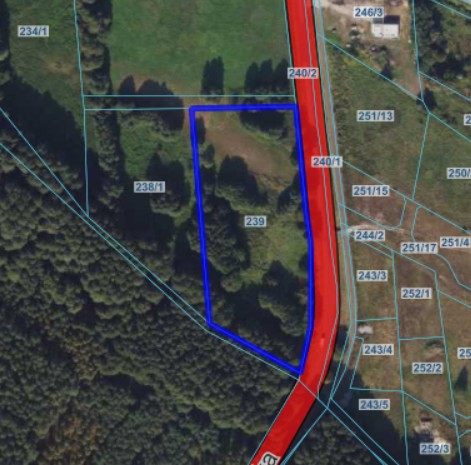 Działka | Wielka Nieszawka dz. 239 | 0,98 ha