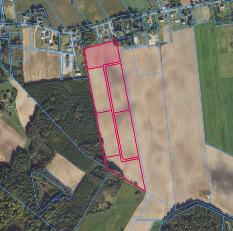 Działki | Ełganowo dz. 63/11, 63/12, 63/13, 63/14, 63/15, 63/16, 63/17 | 6,4000 ha