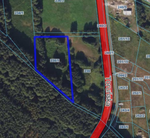 Działka | Wielka Nieszawka dz. 238/1 | 0,75 ha