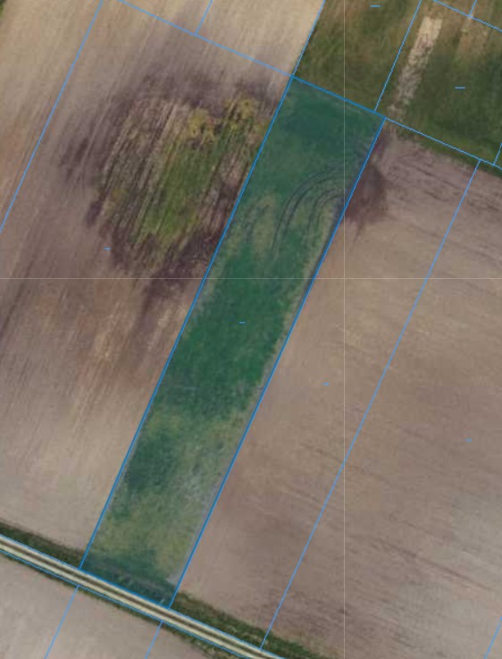 Działka | NIWA SKRZESZÓW dz.188 | 0,2980 ha