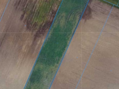 Działka | NIWA SKRZESZÓW dz.188 | 0,2980 ha